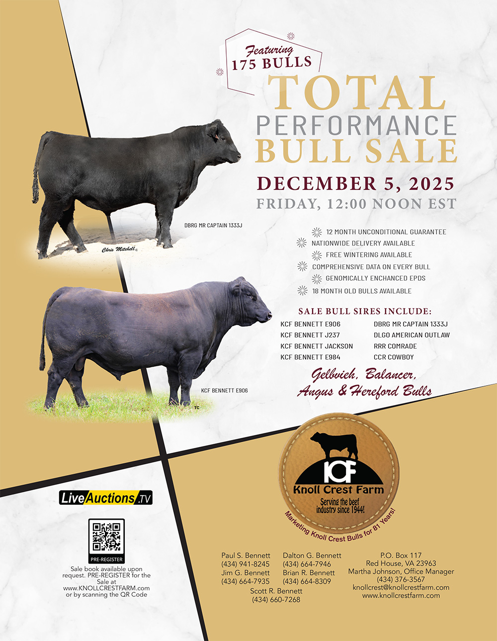 Bull sale ad