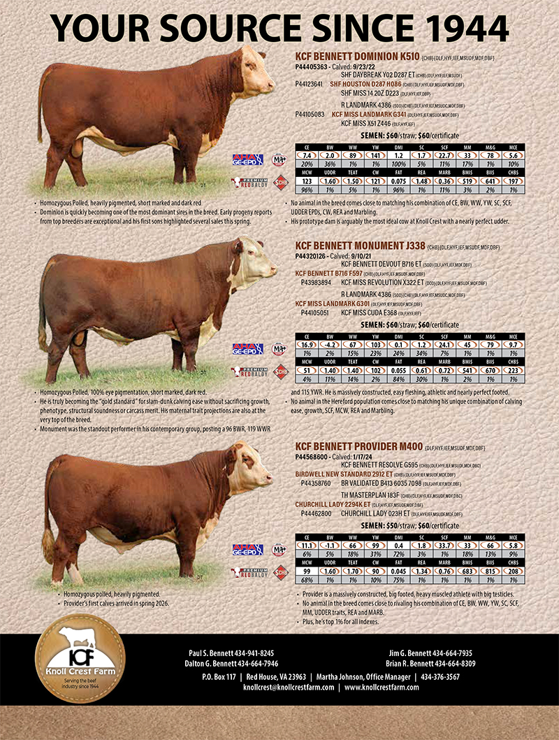 Hereford herd sire ad